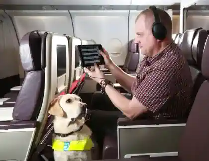 Persona no vidente con tablet y perrro de asisitencia en avion